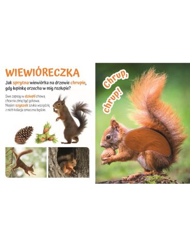 Książeczka sensoryczna Pogłaszcz dzikie zwierzątko