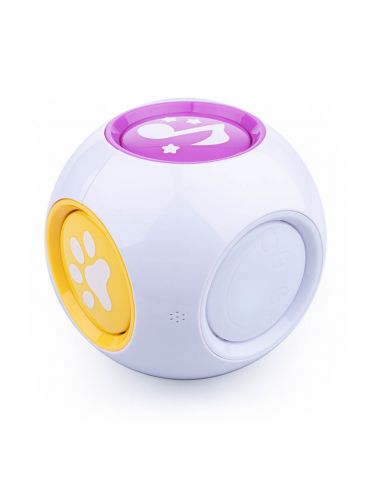 Dumel Kostka edukatorka 6w1 Dumel Kostka edukatorka 6w1