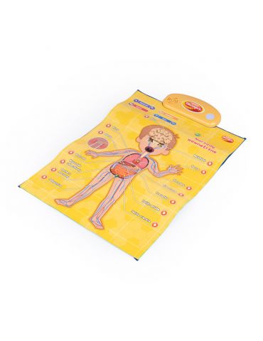 Dumel Discovery Edukacyjne plakaty Człowiek