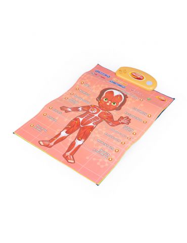 Dumel Discovery Edukacyjne plakaty Człowiek