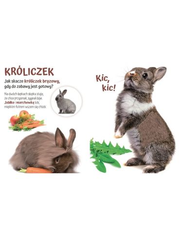Książeczka Pogłaszcz domowe zwierzątko