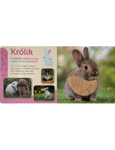 Książeczka Przytul mnie Pupile