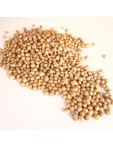 Bocioland Termofor z pestek wiśni duży Miś polarny