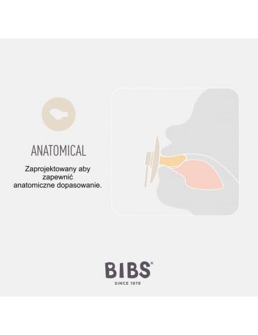 Baby in World Smoczek uspokajający ortodontyczny anatomiczny Bibs Infinity Fossil grey M 6+