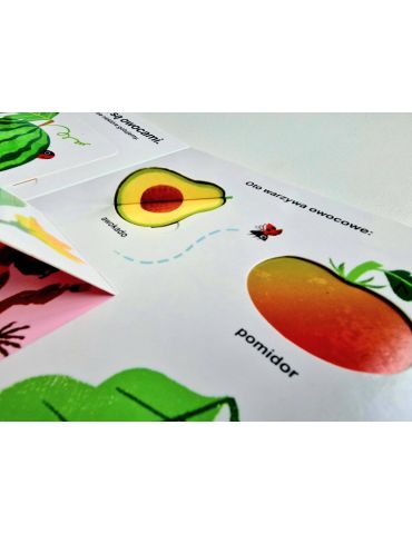 Książeczka Owoce.Akademia mądrego dziecka. Moja książeczka z okienkami HarperCollins