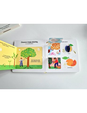 Książeczka Owoce.Akademia mądrego dziecka. Moja książeczka z okienkami HarperCollins