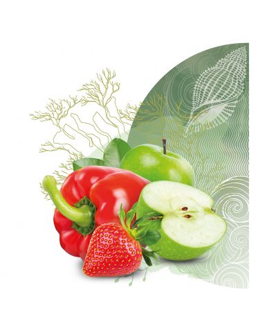 Dew Środek do mycia warzyw i owoców 65 ml