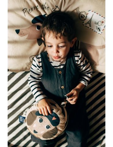 La Millou Pozytywka ( Pierre the dog )