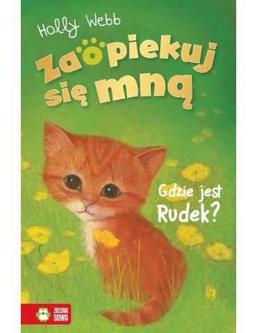 Książeczka Zaopiekuj się mną - Gdzie jest Rudek? H.Webb Książeczka Zaopiekuj się mną - Gdzie jest Rudek? H.Webb