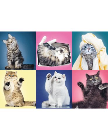 Trefl Puzzle Kociaki 500 elementów