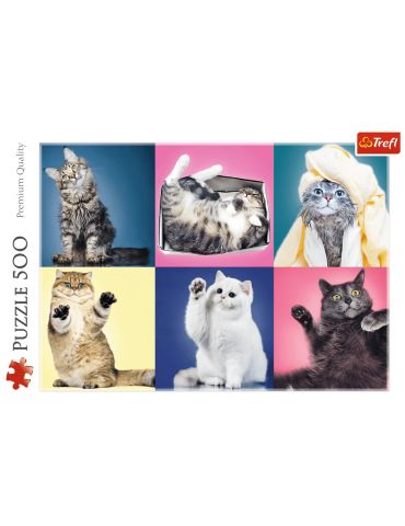 Trefl Puzzle Kociaki 500 elementów