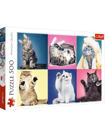 Trefl Puzzle Kociaki 500 elementów