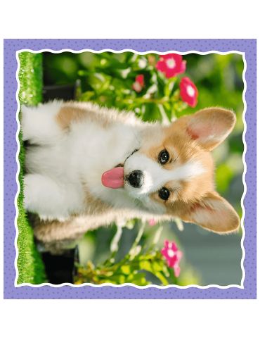 Trefl Puzzle Urocze pieski 3w1