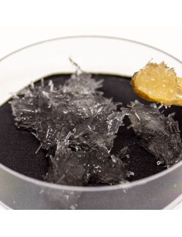 Trefl Fabryka kryształów świecących w ciemnościach