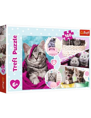 Trefl Puzzle Urocze kotki 160 elementów