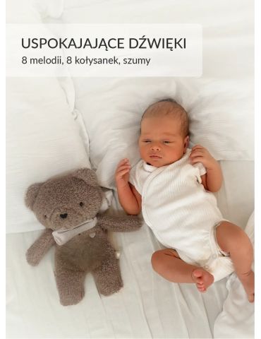 Szumisie Miś 7w1 z lampką i aplikacją brąz