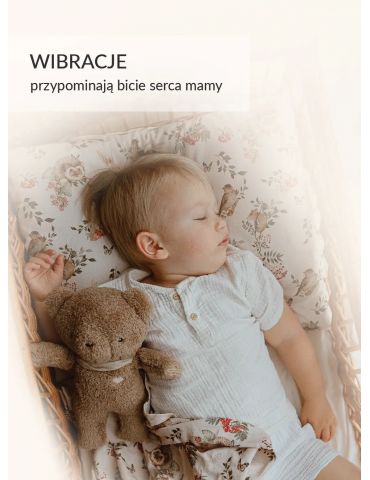 Szumisie Miś 7w1 z lampką i aplikacją brąz