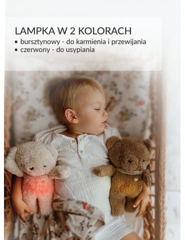 Szumisie Miś 7w1 z lampką i aplikacją brąz