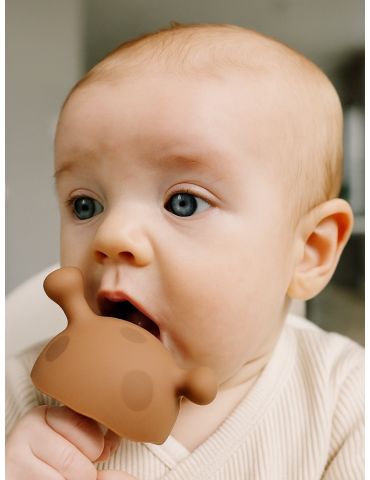 Mombella Gryzak Grzybek Mushroom Mocha loca