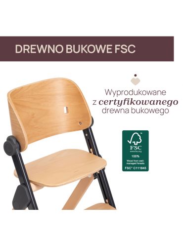 Chicco Krzesełko do karmienia ewolucyjne Meraviglia Ebony