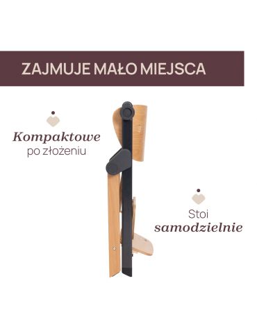 Chicco Krzesełko do karmienia ewolucyjne Meraviglia Ebony
