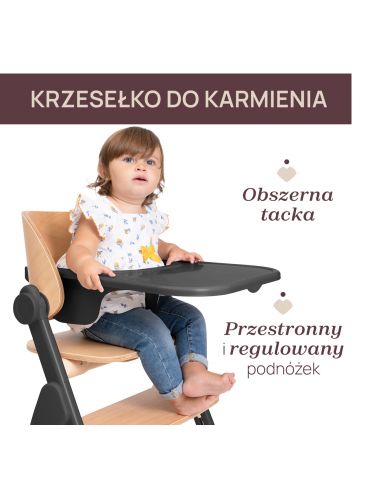 Chicco Krzesełko do karmienia ewolucyjne Meraviglia Ebony