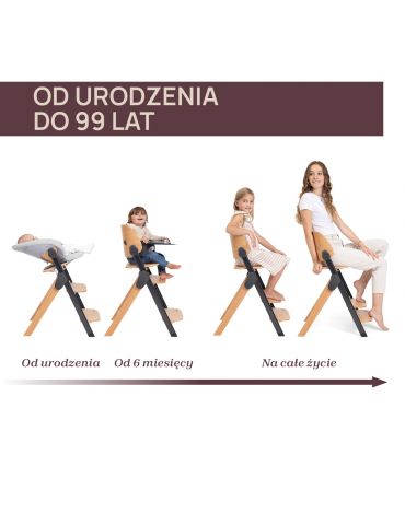Chicco Krzesełko do karmienia ewolucyjne Meraviglia Ebony