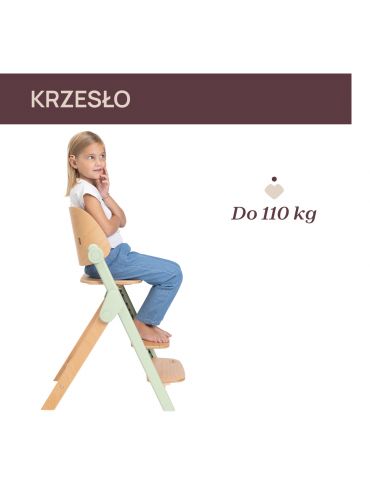 Chicco Krzesełko do karmienia ewolucyjne Meraviglia Olive