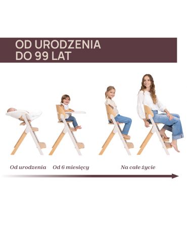 Chicco Krzesełko do karmienia ewolucyjne Meraviglia Olive