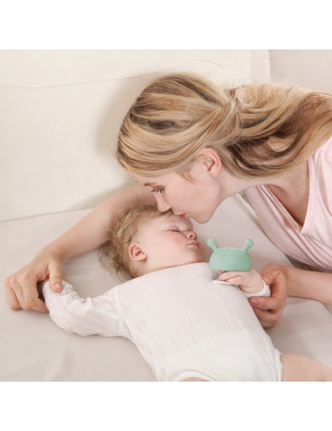 Mombella Gryzak Grzybek Mushroom Eucalyptus