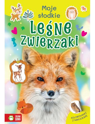 Książeczka Moje słodkie zwierzaki. Leśne zwierzaki Zielona Sowa