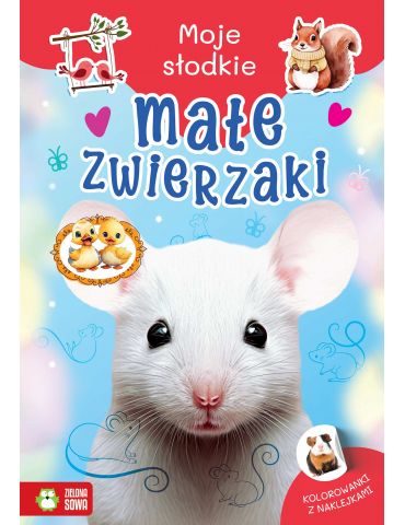 Książeczka Moje słodkie zwierzaki. Małe zwierzaki Zielona Sowa