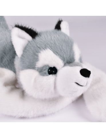 DOUDOU Obciążeniowy pluszowy pies Husky Podcoll Histoire d'Ours 50 cm