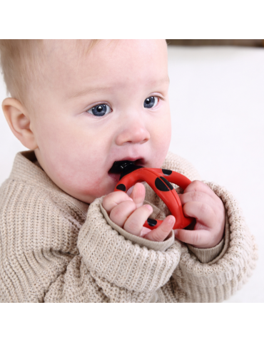 Mombella Szczoteczka treningowa Biedronka Dori 3-8msc