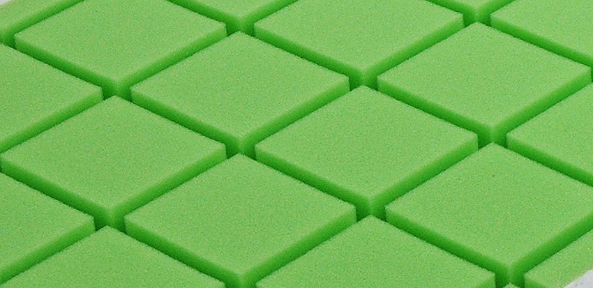 fikusny-sen-2.jpg